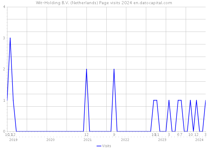 Wit-Holding B.V. (Netherlands) Page visits 2024 