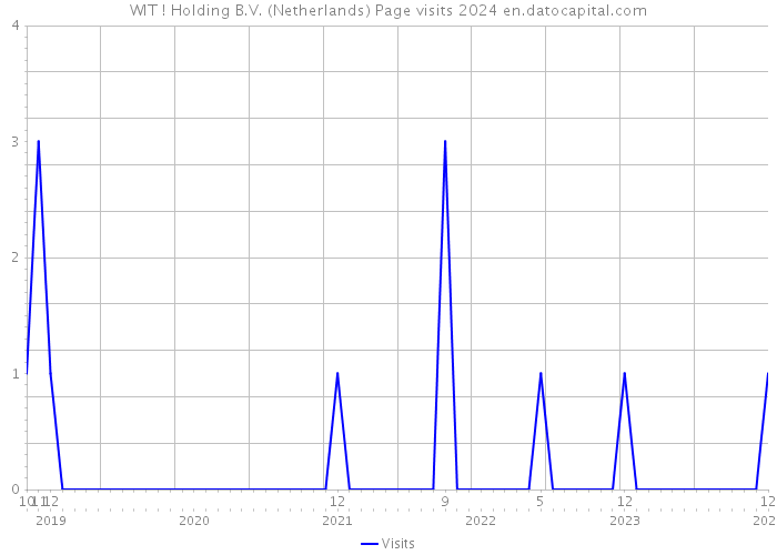 WIT ! Holding B.V. (Netherlands) Page visits 2024 