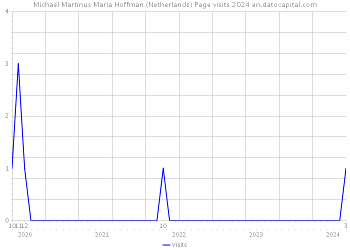 Michaël Martinus Maria Hoffman (Netherlands) Page visits 2024 