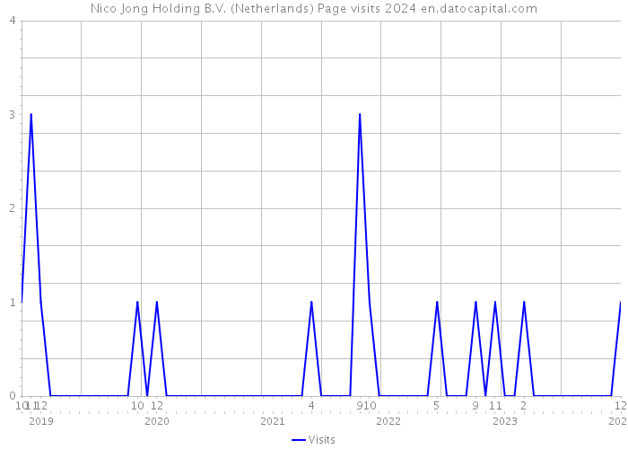 Nico Jong Holding B.V. (Netherlands) Page visits 2024 