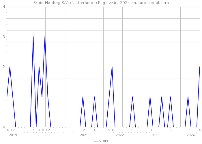 Bruin Holding B.V. (Netherlands) Page visits 2024 