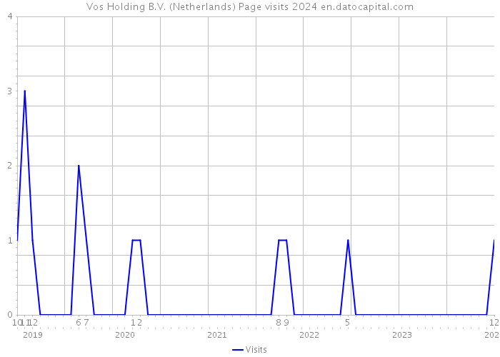 Vos Holding B.V. (Netherlands) Page visits 2024 