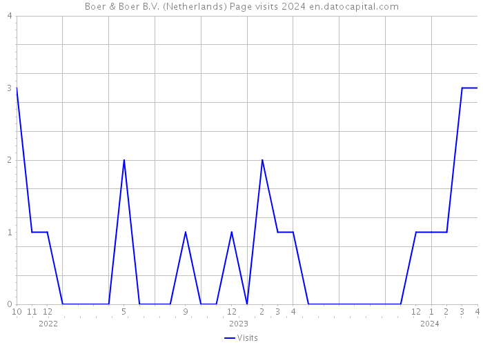 Boer & Boer B.V. (Netherlands) Page visits 2024 