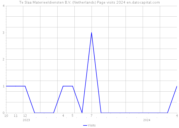 Te Slaa Materieeldiensten B.V. (Netherlands) Page visits 2024 