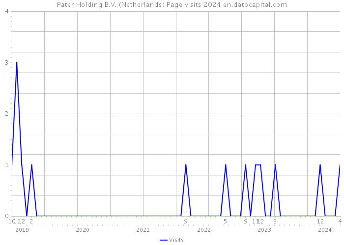 Pater Holding B.V. (Netherlands) Page visits 2024 