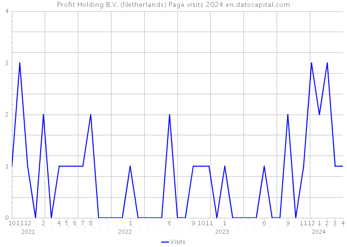 Profit Holding B.V. (Netherlands) Page visits 2024 