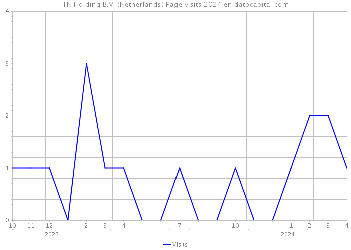 TN Holding B.V. (Netherlands) Page visits 2024 