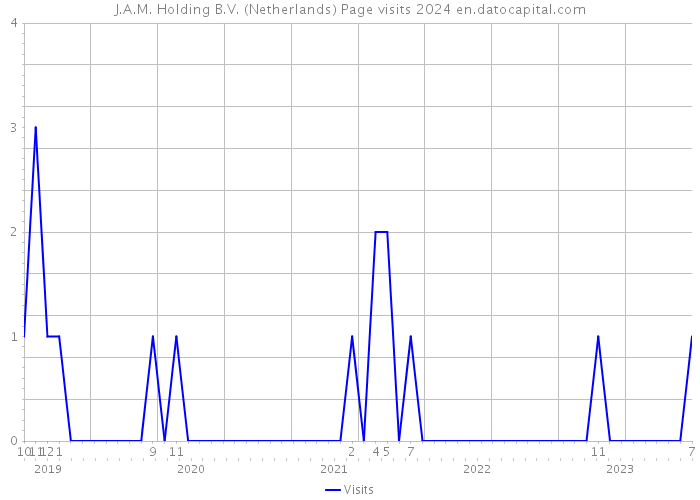 J.A.M. Holding B.V. (Netherlands) Page visits 2024 