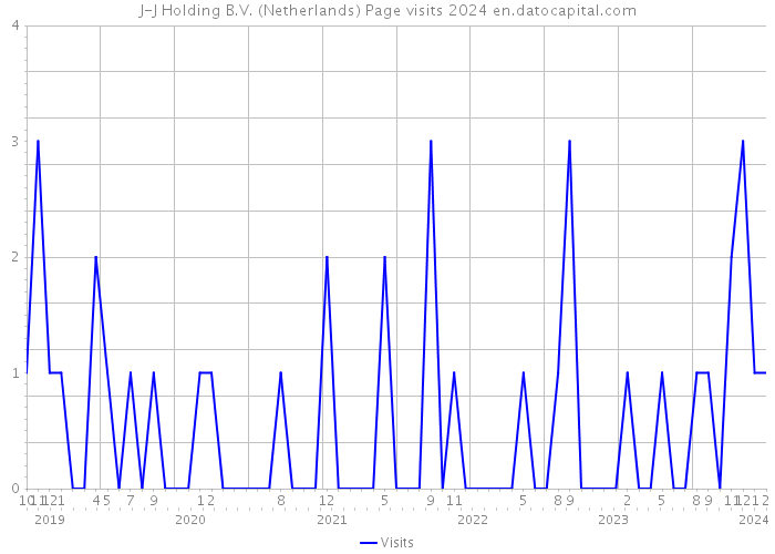 J-J Holding B.V. (Netherlands) Page visits 2024 