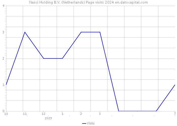 Nasci Holding B.V. (Netherlands) Page visits 2024 
