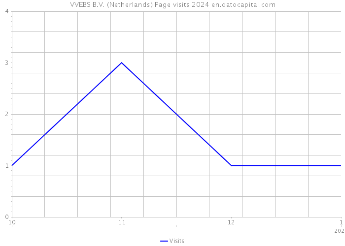 VVEBS B.V. (Netherlands) Page visits 2024 