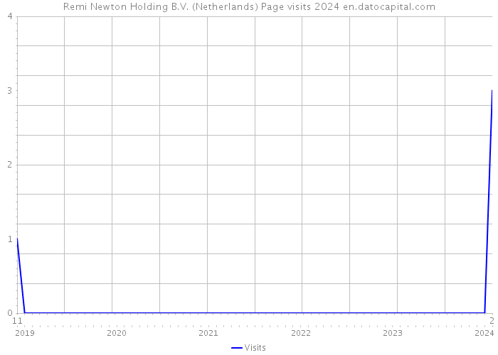Remi Newton Holding B.V. (Netherlands) Page visits 2024 