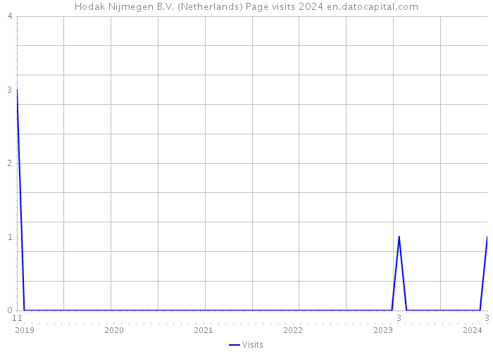 Hodak Nijmegen B.V. (Netherlands) Page visits 2024 