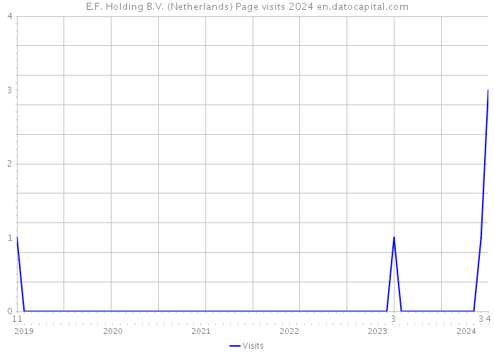 E.F. Holding B.V. (Netherlands) Page visits 2024 