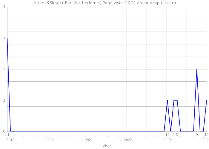 Ariëns&Slinger B.V. (Netherlands) Page visits 2024 