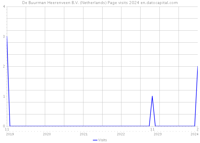 De Buurman Heerenveen B.V. (Netherlands) Page visits 2024 