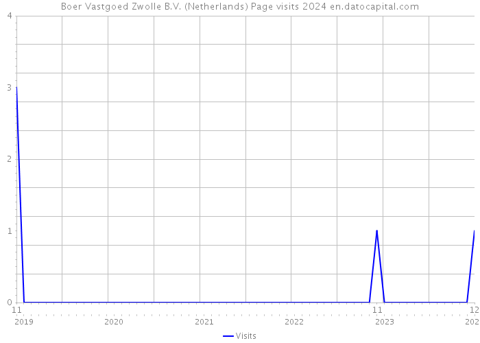 Boer Vastgoed Zwolle B.V. (Netherlands) Page visits 2024 