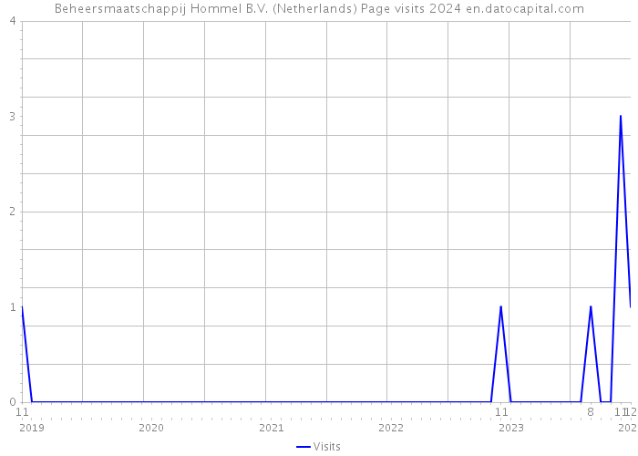 Beheersmaatschappij Hommel B.V. (Netherlands) Page visits 2024 