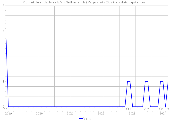Munnik brandadvies B.V. (Netherlands) Page visits 2024 