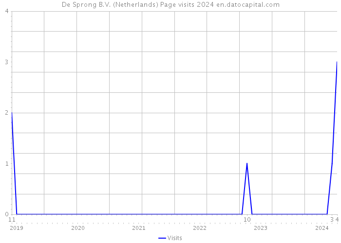 De Sprong B.V. (Netherlands) Page visits 2024 