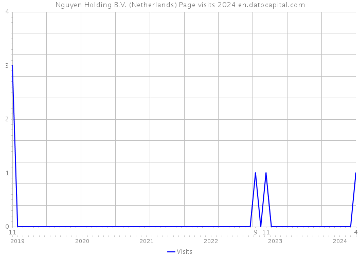 Nguyen Holding B.V. (Netherlands) Page visits 2024 