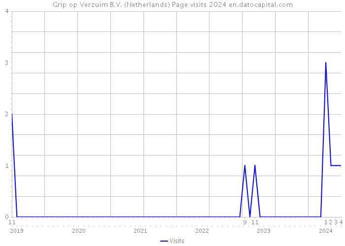 Grip op Verzuim B.V. (Netherlands) Page visits 2024 