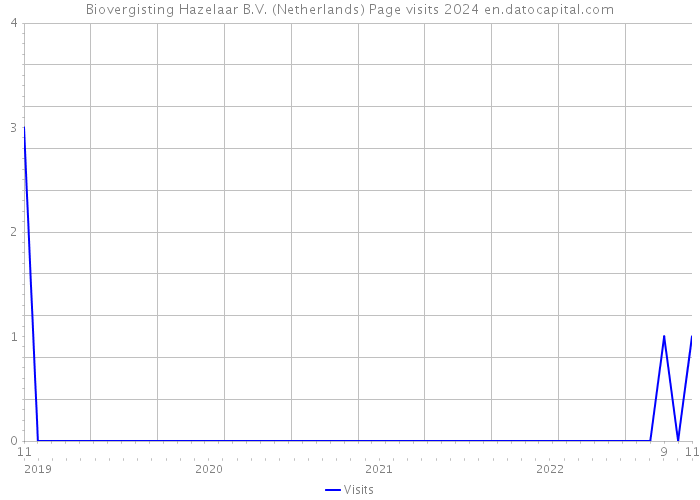 Biovergisting Hazelaar B.V. (Netherlands) Page visits 2024 