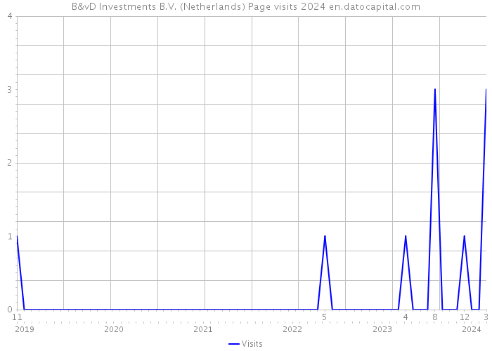 B&vD Investments B.V. (Netherlands) Page visits 2024 