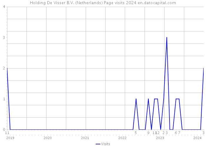 Holding De Visser B.V. (Netherlands) Page visits 2024 