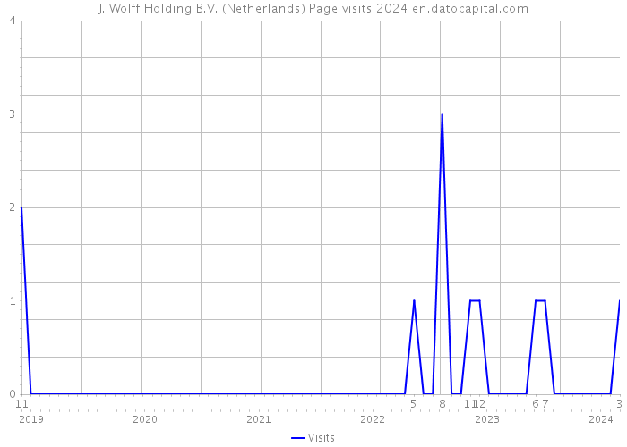 J. Wolff Holding B.V. (Netherlands) Page visits 2024 