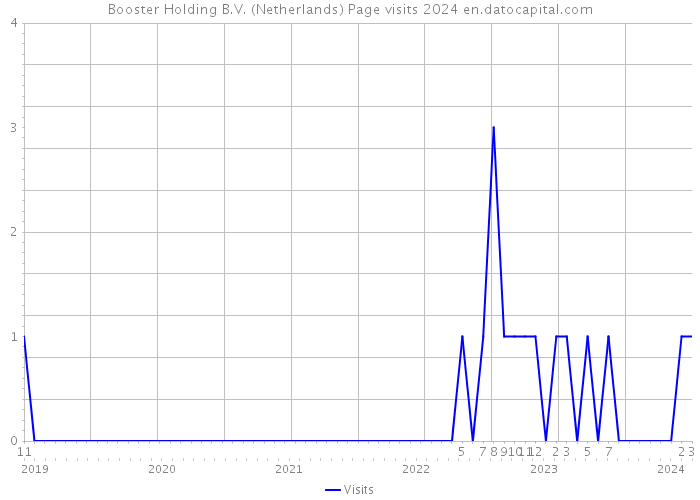 Booster Holding B.V. (Netherlands) Page visits 2024 