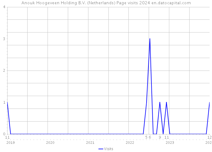 Anouk Hoogeveen Holding B.V. (Netherlands) Page visits 2024 