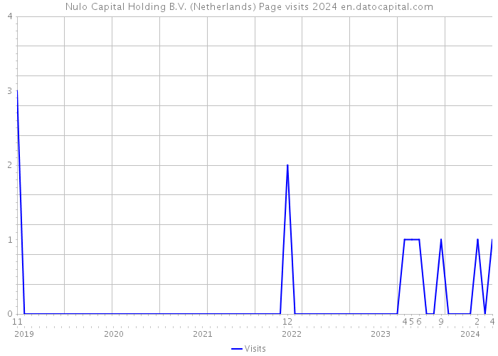 Nulo Capital Holding B.V. (Netherlands) Page visits 2024 