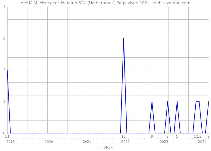 H.H.M.M. Hensgens Holding B.V. (Netherlands) Page visits 2024 