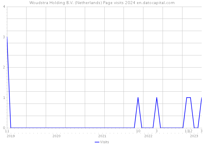 Woudstra Holding B.V. (Netherlands) Page visits 2024 