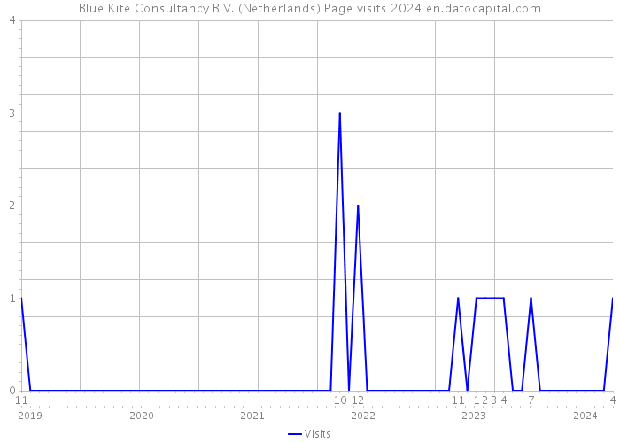 Blue Kite Consultancy B.V. (Netherlands) Page visits 2024 