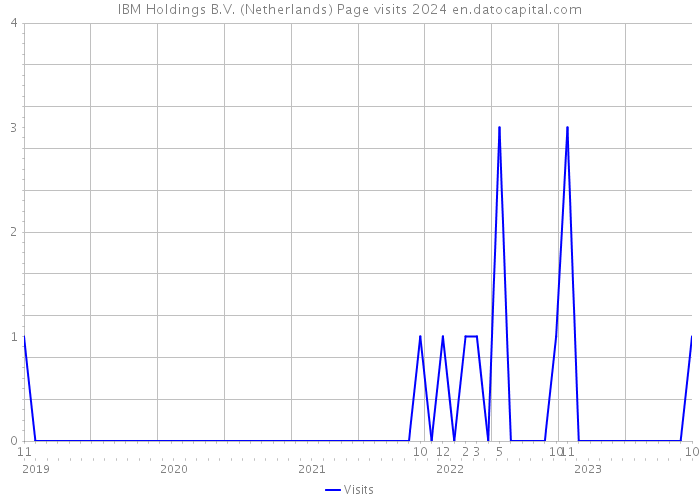 IBM Holdings B.V. (Netherlands) Page visits 2024 