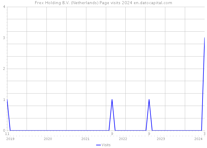 Frex Holding B.V. (Netherlands) Page visits 2024 
