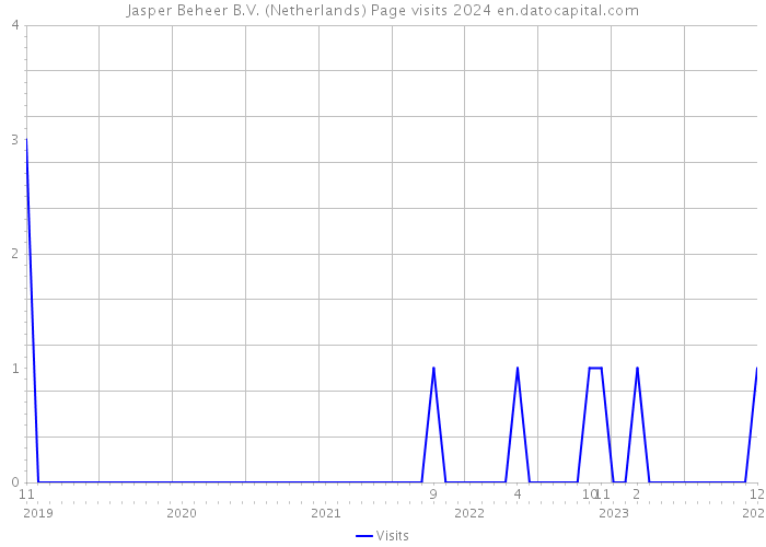 Jasper Beheer B.V. (Netherlands) Page visits 2024 