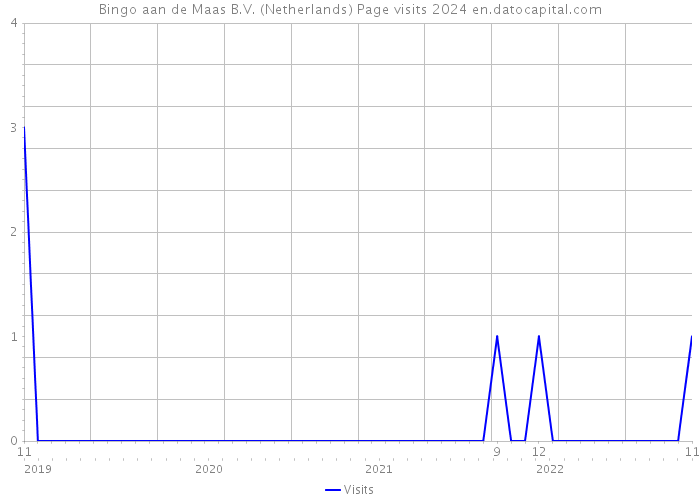 Bingo aan de Maas B.V. (Netherlands) Page visits 2024 