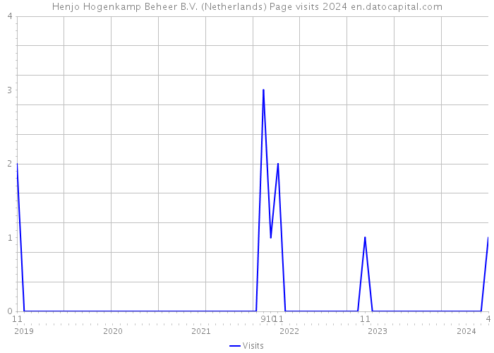 Henjo Hogenkamp Beheer B.V. (Netherlands) Page visits 2024 