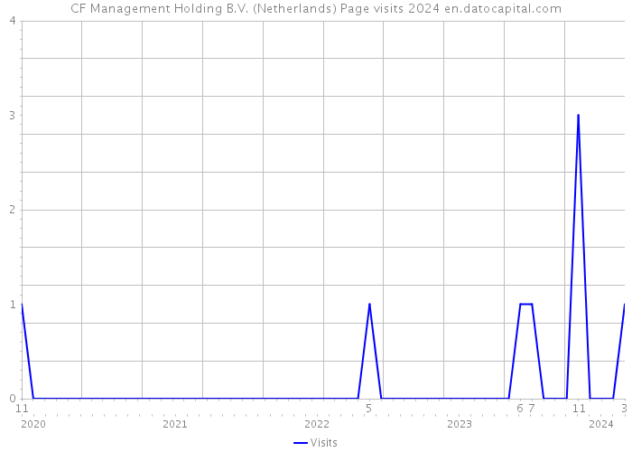 CF Management Holding B.V. (Netherlands) Page visits 2024 