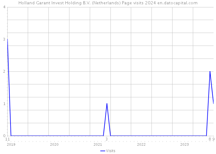 Holland Garant Invest Holding B.V. (Netherlands) Page visits 2024 