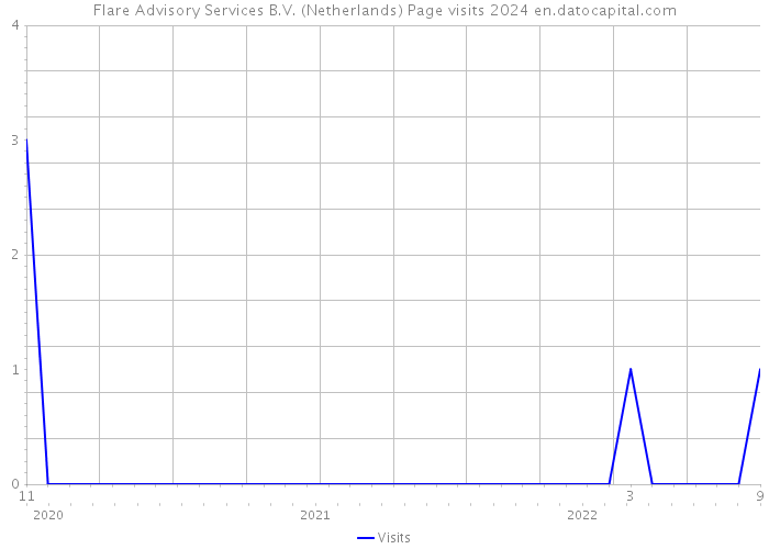 Flare Advisory Services B.V. (Netherlands) Page visits 2024 