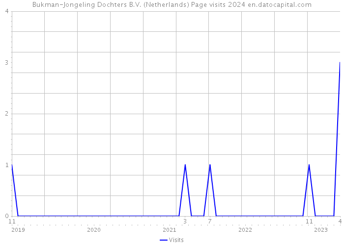 Bukman-Jongeling Dochters B.V. (Netherlands) Page visits 2024 