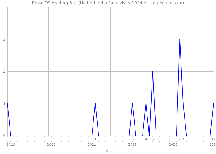 Royal DS Holding B.V. (Netherlands) Page visits 2024 