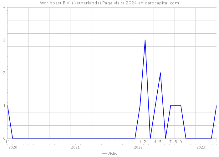 Worldbest B.V. (Netherlands) Page visits 2024 