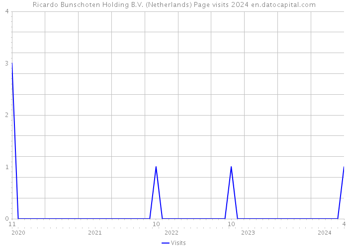 Ricardo Bunschoten Holding B.V. (Netherlands) Page visits 2024 