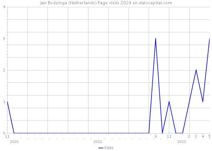 Jan Bodzinga (Netherlands) Page visits 2024 