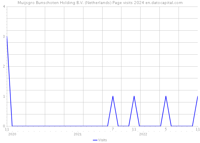 Muijsgro Bunschoten Holding B.V. (Netherlands) Page visits 2024 